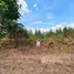  Terreno (Parcela) en venta en Na Mai, Pathum Thani, Na Mai, Lat Lum Kaeo, Pathum Thani, Tailandia