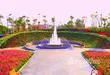Flower Land Pattaya