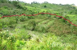  bedroom Land for sale at in Chiriqui, Panama