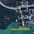 在墨西哥出售的 土地, Othon P Blanco, Quintana Roo, 墨西哥