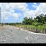  Terreno (Parcela) en venta en Torre Villa Palmera X, Distrito Nacional
