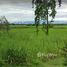  Land for sale in Chaiyaphum, Kut Yom, Phu Khiao, Chaiyaphum