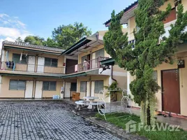 22 Bedroom Whole Building for sale in Thailand, Suthep, Mueang Chiang Mai, Chiang Mai, Thailand