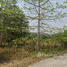  Terrain for sale in Thong Pha Phum, Kanchanaburi, Hin Dat, Thong Pha Phum