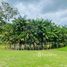  Terreno for sale in Brasil, Anamã, Amazonas, Brasil