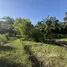  Земельный участок for sale in Lo Yung, Пханга, Lo Yung, Takua Thung, Пханга, Таиланд