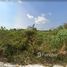  Land for sale in Mueang Rayong, Rayong, Noen Phra, Mueang Rayong