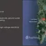  Grundstück zu verkaufen in Choeng Thale, Phuket, Choeng Thale