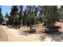  Terreno (Parcela) en venta en Puchuncavi, Quintero