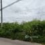  Land for sale in Thailand, Nong Prue, Pattaya, Chon Buri, Thailand