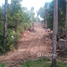  Grundstück zu verkaufen in Ko Pha-Ngan, Surat Thani, Ko Pha-Ngan, Ko Pha-Ngan