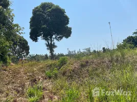 在拉威, 普吉镇出售的 土地, 拉威