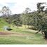  Land for sale in Grecia, Alajuela, Grecia