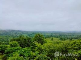 ขายบ้านเดี่ยว 2 ห้องนอน ใน นาซำ, เพชรบูรณ์, นาซำ, หล่มเก่า, เพชรบูรณ์, ไทย