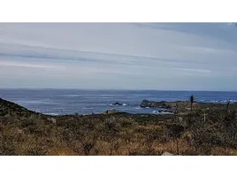 在Petorca, Valparaiso出售的 土地, La Ligua, Petorca
