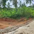  Grundstück zu verkaufen in Koh Samui, Surat Thani, Maret