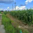 ขายที่ดิน ใน โป่งน้ำร้อน, เชียงใหม่, โป่งน้ำร้อน, ฝาง, เชียงใหม่, ไทย