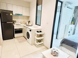 คอนโด 1 ห้องนอน ให้เช่า ในโครงการ ไลฟ์ วัน ไวร์เลส, ลุมพินี