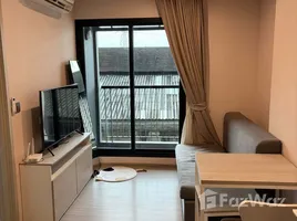 อพาร์ทเม้นท์ 1 ห้องนอน ให้เช่า ในโครงการ แอสปาย เอราวัณ ไพร์ม, ปากน้ำ, เมืองสมุทรปราการ, สมุทรปราการ