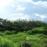  Land for sale in Cocle, Aguadulce, Aguadulce, Cocle