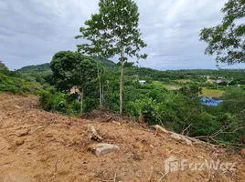 ขายที่ดิน ใน สาคู, ภูเก็ต, สาคู, ถลาง, ภูเก็ต