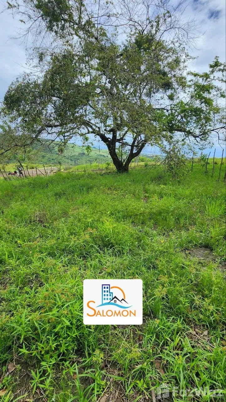 Solar en Puerto Plata, foto 2