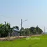  토지을(를) Pathum Thani에서 판매합니다., Bueng Bon, Nong Suea, Pathum Thani