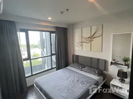 อพาร์ทเม้นท์ 1 ห้องนอน ให้เช่า ในโครงการ เดอะ เบส พาร์ค เวสต์ สุขุมวิท 77, พระโขนงเหนือ