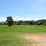  Terrain for sale in Nong Yaeng, San Sai, Nong Yaeng