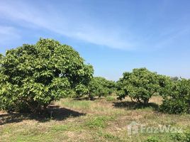  Земельный участок for sale in Лампхун, Mueang Chi, Mueang Lamphun, Лампхун