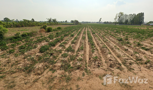 N/A Land for sale in Nong No, Khon Kaen 