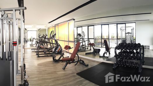 Photo 2 of the Gimnasio Comunitario at Rochalia Residence