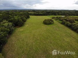  Terrain for sale in Guanacaste, Carrillo, Guanacaste