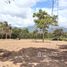 ขายที่ดิน ใน ตลิ่งงาม, สุราษฎร์ธานี, ตลิ่งงาม