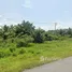  Земельный участок for sale in Si Wichai, Сураттани, Si Wichai, Phunphin