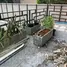 Watthana, 방콕PropertyTypeNameBedroom, Khlong Tan Nuea, Watthana