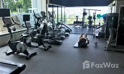 图片 3 of the Communal Gym at Circle Condominium