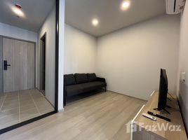 คอนโด 1 ห้องนอน ให้เช่า ในโครงการ แอสปาย อ่อนนุช สเตชั่น, พระโขนง, คลองเตย, กรุงเทพมหานคร