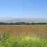  Land for sale at Colina, Colina, Chacabuco, Santiago