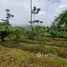 Terrain à vendre à Turrialba, Cartago, Turrialba