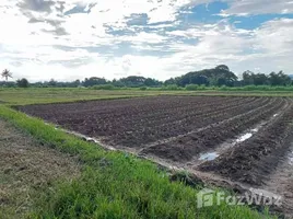  Terreno (Parcela) en venta en Doi Saket, Chiang Mai, Luang Nuea, Doi Saket