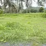 ขายที่ดิน ใน ป่าคลอก, ภูเก็ต, ป่าคลอก, ถลาง, ภูเก็ต