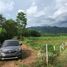  Land for sale in Thailand, Lae, Thung Chang, Nan, Thailand