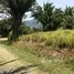  Terrain for sale in Roatan, Bay Islands, Roatan