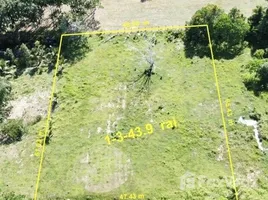 ขายที่ดิน ใน ไม้ขาว, ภูเก็ต, ไม้ขาว