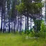  Terreno (Parcela) en venta en Panamá, San Carlos, Panamá Oeste, Panamá