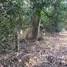  Land for sale in Ban Lueam, Udon Thani, Ban Lueam