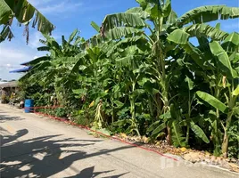 ขายที่ดิน ใน บางกรวย นนทบุรี, ศาลากลาง, บางกรวย, นนทบุรี