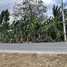 ขายที่ดิน ใน ภูเก็ต, เชิงทะเล, ถลาง, ภูเก็ต