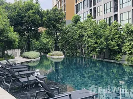 อพาร์ทเม้นท์ 1 ห้องนอน ให้เช่า ในโครงการ แอทโมซ ทรอปิคาน่า บางนา, บางนา, บางนา, กรุงเทพมหานคร